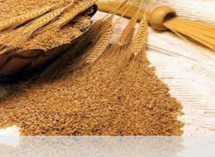 Gérmen de Trigo para nutrição, força e toque sedoso